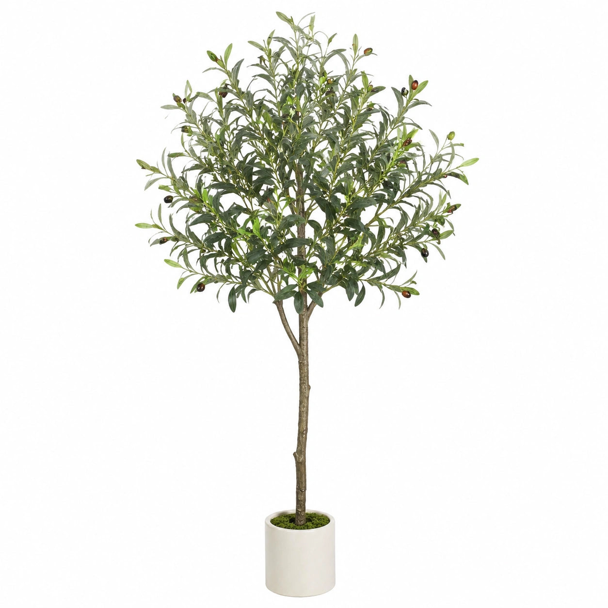 Olivo Artificial de 180cm para Interior y Exterior