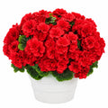 Planta Artificial de Geranio Rojo en Maceta Blanca, 45 cm