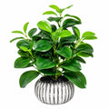 Planta Artificial Verde con Maceta Decorativa de Cerámica