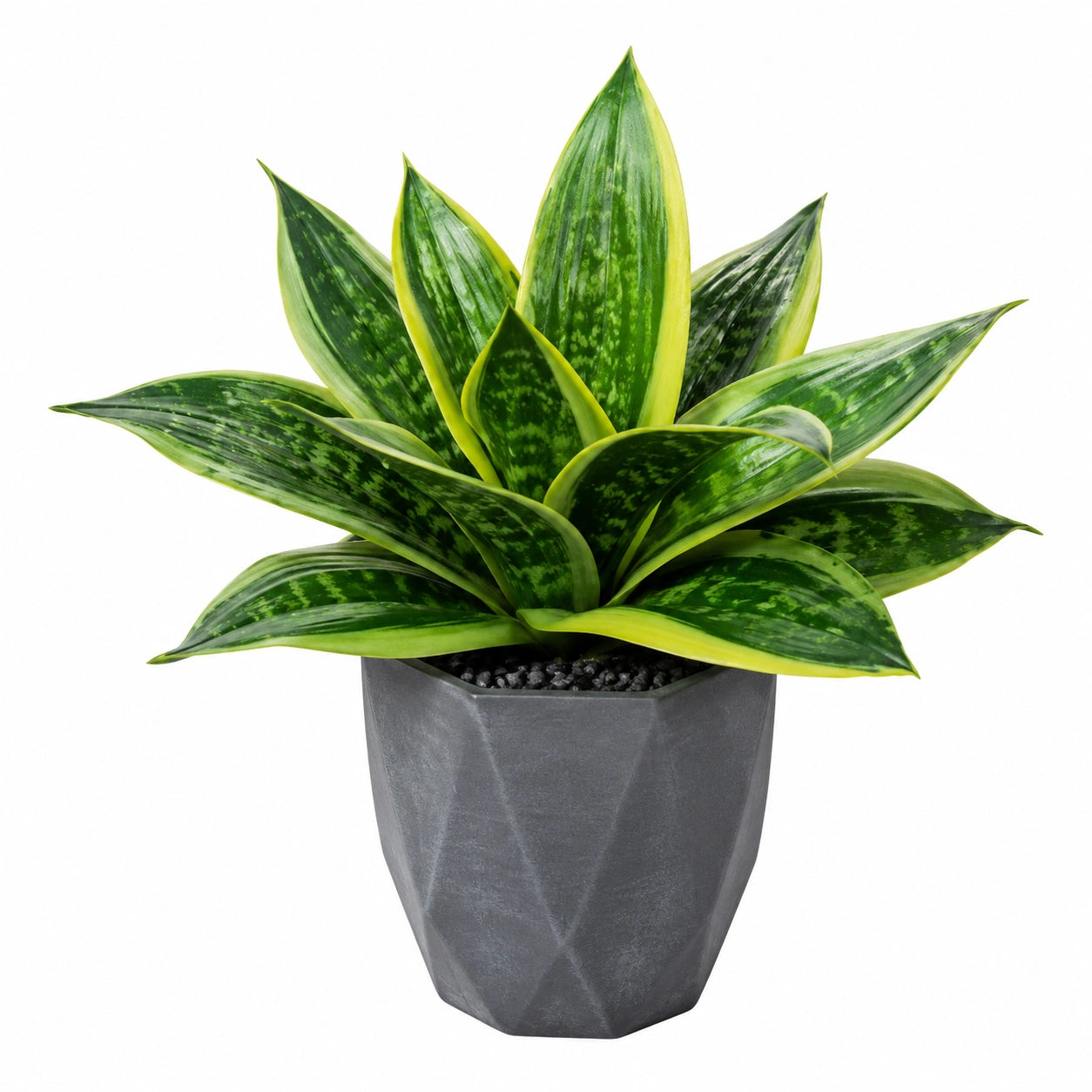 Planta artificial verde y amarilla con maceta decorativa para interior y exterior
